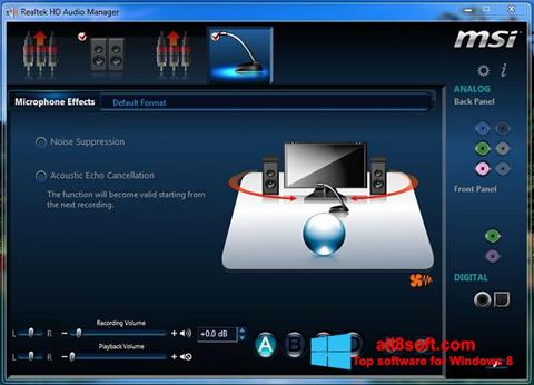 Petikan skrin Realtek Audio Driver untuk Windows 8