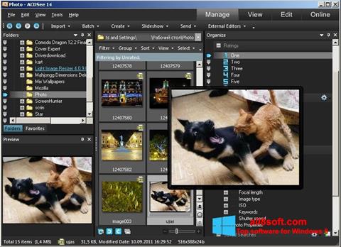 Petikan skrin ACDSee Photo Manager untuk Windows 8