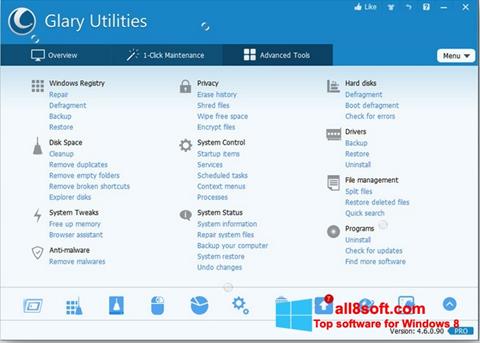Petikan skrin Glary Utilities Pro untuk Windows 8