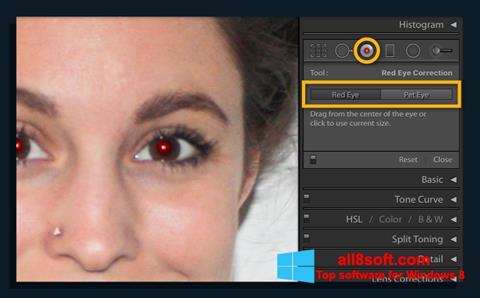 Petikan skrin Red Eye Remover untuk Windows 8