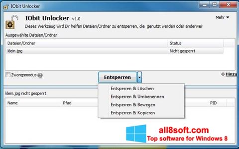 Petikan skrin IObit Unlocker untuk Windows 8