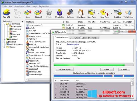 Petikan skrin Internet Download Manager untuk Windows 8