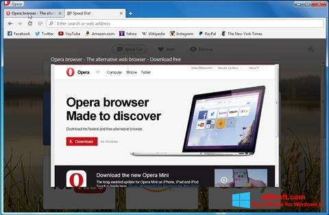 Petikan skrin Opera Developer untuk Windows 8