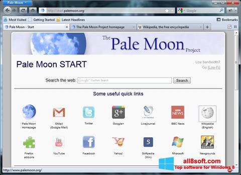 Petikan skrin Pale Moon untuk Windows 8