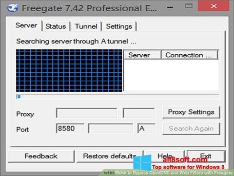 Petikan skrin Freegate untuk Windows 8