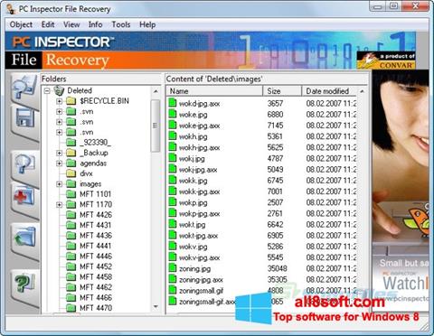 Petikan skrin PC Inspector File Recovery untuk Windows 8