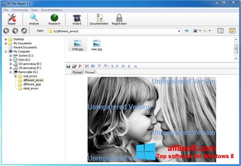 Petikan skrin File Repair untuk Windows 8