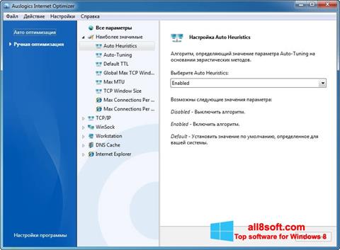 Petikan skrin Auslogics Internet Optimizer untuk Windows 8