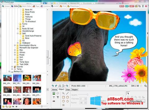 Petikan skrin PhotoScape untuk Windows 8