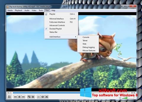 Petikan skrin VLC Media Player untuk Windows 8